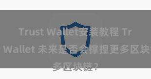 Trust Wallet安装教程 Trust Wallet 未来是否会撑捏更多区块链？