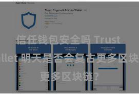 信任钱包安全吗 Trust Wallet 明天是否会复古更多区块链？