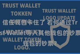 信任钱包卡住了 若何通过Trust Wallet导入其他钱包的钞票？