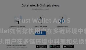 Trust Wallet App Store Trust Wallet如何撑执用户在多链环境中料理和兑换钞票？