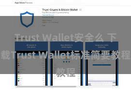 Trust Wallet安全么 下载Trust Wallet标准简要教程